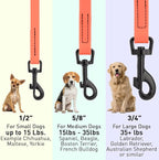 Dogline Biothane Waterproof Dog Leash Strong Coated Nylon Webbing with Black Hardware Odor-Proof Easy to Clean High Performance for Small or Large Dogs Made in USA 4 or 6 ft Lead, Coral