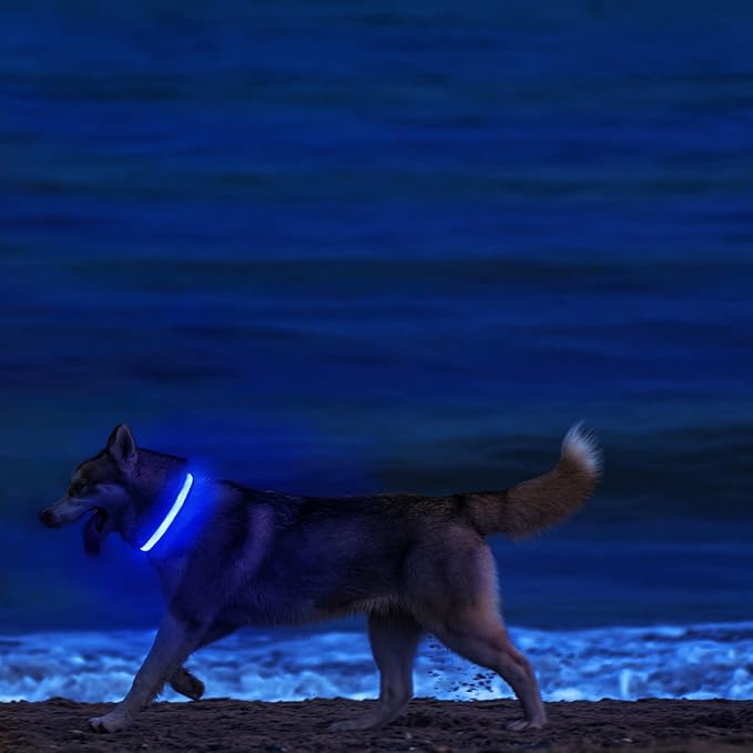 MASBRILL Light Up DogCollars-Rechargeable LED Dog Collar-Waterproof Night Walking Glowing Dog Collar for Small Medium Large Dogs