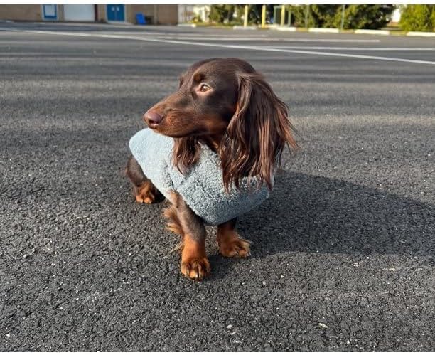 Gooby Sherpa Vest Dog Sweater - Stone Blue, Medium - Warm Fuzzy Fleece Step in Dog Jacket Without Ring Leash for Small to Medium Dogs