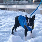 Gooby Padded Vest Dog Jacket - Solid Blue, Large - Warm Zip Up Vest Fleece Jacket with Dual D Ring Leash - Winter Water Resistant Sweater - Clothes for Small and Medium Dogs