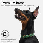 Scout Supply Classic Leather Dog Collar | Heavy Duty Thick Full Grain Leather | Waterproof & Rust-Proof Brass Hardware (Green, X Large)