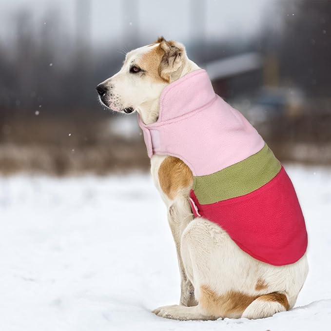 ASENKU Dog Jacket Plaid Reversible Reversible Dog Vest Waterproof Cold Winter Clothes Pet Apparel for Small Medium Large Dogs (L, Colorful)