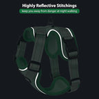 Rttochfy Cat Harness and Leash Set, Adjustable and Reflective Cat Vest, Escape Proof Kitten Harness, Easy to Put on with 3 Buckles for Cats Walking and Traveling (Green, L)