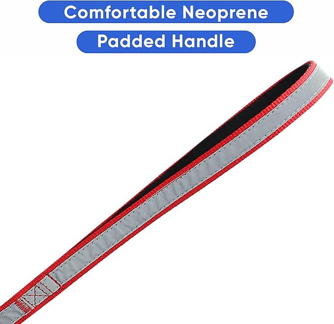 Pawtitas Personalized Dog Leash Embroidered Customize Your Pet Name & Phone Number Puppy Reflective 6 ft Long Large Red Custom Tag Name, Red Reflective 🔦 Padded