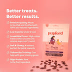 Pupford Soft & Chewy Training Treats for Dogs & Puppies (Pork, 10 oz)