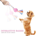 Dog Rope Toys for Small Dog, Interactive Chew Toys for Puppy, Tug of War Toy, Teeth Cleaning Toy Gift Set for Medium Dogs (5 Pack)