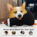 Dog Squeak Toys for Small, Medium & Large Dogs, Tough Chew Toy for Teething & Chewing, Durable Interactive Puppy, 5-Pack