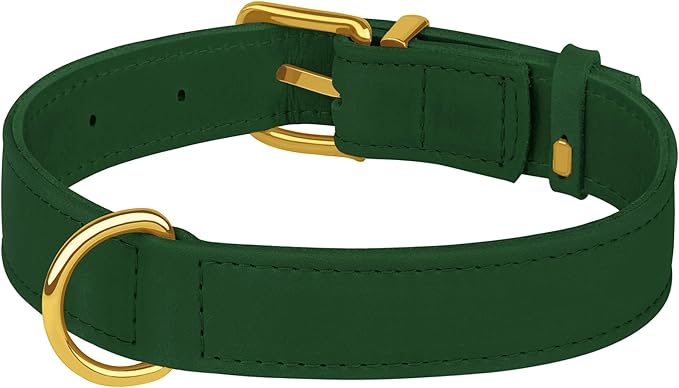 Leather Dog Collar - Heavy Duty Adjustable Soft Padded Pet Collars for Small Medium Large Dogs Breed - Black Green Brown Pink Red Blue (Green, M, 12"-15" Neck Fit)