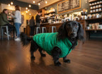 ASENKU Dog Winter Coat - Waterproof Windproof Dog Jacket, Warm Snowproof Doggie Puffer Vest for Cold Weather, Lightweight Snow Coats for Small Medium Large Dogs (XXXL, Green)