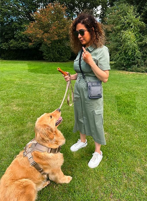 BEAU&FUR Small Dog Treat Pouch with Clicker for Training – 2 Cup Capacity, Built-In Poop Bag Dispenser, Storage for Snacks and Toys - Hands-Free Pouch Snack Holder for Walking and Training – Grey