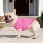 GreenJoy Classic Fleece Dog Sweater – Soft & Warm Stretchy Sweatshirt for Small Dogs & Cats, Cold-Weather Pullover for Everyday Wear (Dark Pink, Medium)