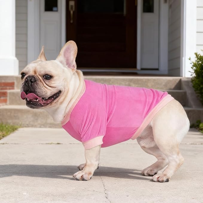 GreenJoy Classic Fleece Dog Sweater – Soft & Warm Stretchy Sweatshirt for Small Dogs & Cats, Cold-Weather Pullover for Everyday Wear (Dark Pink, Small)
