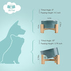 SPUNKYJUNKY 15° Slanted Ceramic Dog and Cat Bowl with Wooden Stand, Tilted Bulldog Food and Water Bowl No Slip Non-Spill for Cats Medium Dogs Big Face Pets 28.7 OZ (3.6 Cups, Light Green)