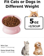 LoeJan Elevated Cat Food Bowl, 5 Oz Ceramic Raised and Tilted Water Bowl, Anti Vomiting and Protect Pets' Spines Dishes for Small Dog, Fat Faced Cat, Kitten (Pink, 2 Pack)