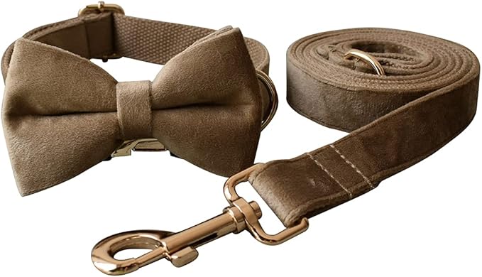 Dog Collar Custom Personalized Engraved Name and Phone Number for Puppy Small Medium Large Pets (XL, Khaki)