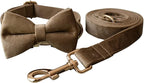 Dog Collar Custom Personalized Engraved Name and Phone Number for Puppy Small Medium Large Pets (L, Khaki)