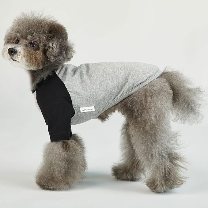 Dog Shirt for Small and Large Dogs Raglan Cotton T-Shirts Soft Breathable Dog Shirts pet Clothes Gray Series (X-Small, Gray/Black)