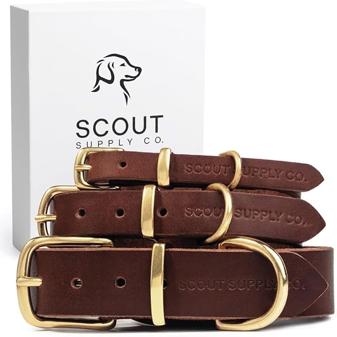 Scout Supply Classic Leather Dog Collar | Heavy Duty Thick Full Grain Leather | Waterproof & Rust-Proof Brass Hardware (Dark Brown, Medium)