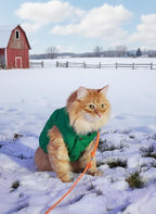 ASENKU Dog Winter Coat - Waterproof Windproof Dog Jacket, Warm Snowproof Doggie Puffer Vest for Cold Weather, Lightweight Snow Coats for Small Medium Large Dogs(M, Green)