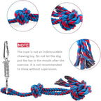 Storystore Dog Tug Toy Dog Training Bite Pillow Jute Bite Toy - Best for Tug of War, Puppy Training Interactive Play - Interactive Toys for Small and Medium Dogs (Blue)