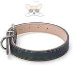 WHIPPY Leather Dog Collar for Medium Large Dog Adjustable Soft Leather Padded Puppy Collar with Alloy Buckle Heavy Duty Waterproof Classic Dog Pet Collar