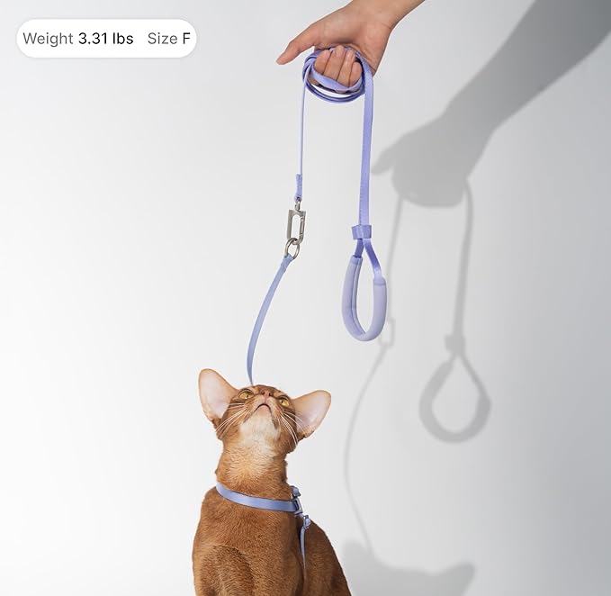Cat Harness and Leash Set, Lightweight Escape Proof Cat Harness Leash with Padded Handle, Adjustable Cat Leash and Harness for Kitten Small Large Cats Walking Training (Monet Purple, S)