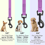 Dogline Biothane Waterproof Dog Leash Strong Coated Nylon Webbing with Black Hardware Odor-Proof Easy to Clean High Performance for Small or Large Dogs Made in USA 4 or 6 ft Lead, Amethyst Purple