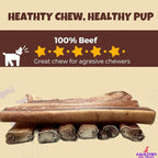 Amazing Dog Treats Bully Stick for Dogs (Extra Thick/Jumbo 6 Inch - 6 Count) - Long Lasting, Safe Chews