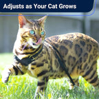 Houdini™ Escape Proof Cat Harness and Leash Set by OutdoorBengal for Walking Cats and Kittens (Leather, Large Cat)