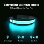 MASBRILL Light Up Dog Collars - LED Dog Collar Rechargeable Lighted Dog Collars Resistant-Water Night Walking Glow in The Dark Collars