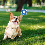 3-PACK Interactive Dog Toys Ball Suitable for Small and Medium Dogs, Soccer Ball, Football and Tennis Balls for Dogs, Stuffed with Fluffy Squeak Dog Toys, Puppy Dog Plush toys, Dog Birthday Gifts