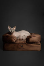 NOAH & PAW Small Dog Bed, 20x15x8 Inch, Cat Bed for Indoor Cats, Orthopedic Eggshell Memory Foam Infused with Cooling Gel, Waterproof Inner Cover Machine Washable (Velvet Collection)