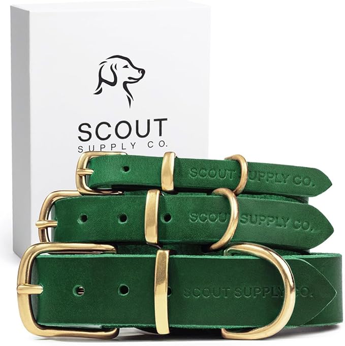 Classic Genuine Leather Dog Collar | Dog Collars for Medium Dogs, Small Dogs, Large Dogs & Extra Large Dog | Wide Dog Collar | Heavy Duty Collar (Green, Medium)