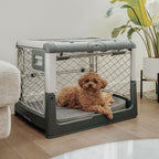Diggs Snooz Memory Foam Dog Bed - Ideally Sized Revol Dog Crate Pad - Premium Orthopedic Pet Bed for Crate or Home - Grey, Medium
