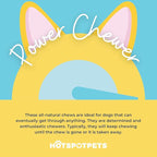 Himalayan Yak Chews for Dogs – (3 Pack Large) Long-Lasting Natural Dog Chew, Healthy & Safe Yak Cheese Treats for Aggressive Chewers, Small, Medium & Large Dogs - 100% No Rawhide, High Protein