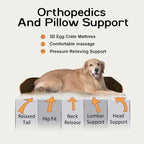 Extra Large Dog Bed-Orthopedic Waterproof XL Dog Bed for XLarge Extra Big Dogs - Foam Couch Sofa Washable with Removable Cover-Brown