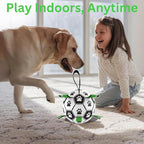 Dog Ball 8 inch - Dog Soccer Ball with Straps, Durable Dog Soccer Ball Indestructible, Perfect Soccer Ball for Dogs with Paw Print, Fun Dog Birthday Gifts - Ideal Dog Soccer Ball Toy