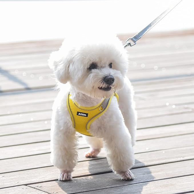 AIITLE Small Harness for Puppy with A Leash - Summer Dog Harnesses with Super Breathable Mesh, Reflective No-Pull Pet Vest for Outdoor Walking, Camping for XX-Small Dogs, Cats Yellow XXS