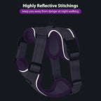 Rttochfy Cat Harness and Leash Set, Adjustable and Reflective Cat Vest, Escape Proof Kitten Harness, Easy to Put on with 3 Buckles for Cats Walking and Traveling (Purple, M)