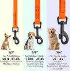 Dogline Biothane Waterproof Dog Leash Strong Coated Nylon Webbing with Black Hardware Odor-Proof Easy to Clean High Performance for Small or Large Dogs Made in USA 4 or 6 ft Lead, Hunter Orange