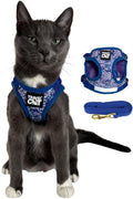 Travel Cat Harness and Leash Set - Adjustable Fit Mesh Cat Harness and Reflective Strap - Comfort Walking Vest for Kitten for Outdoor Walking, Hiking (Small, Groovy)