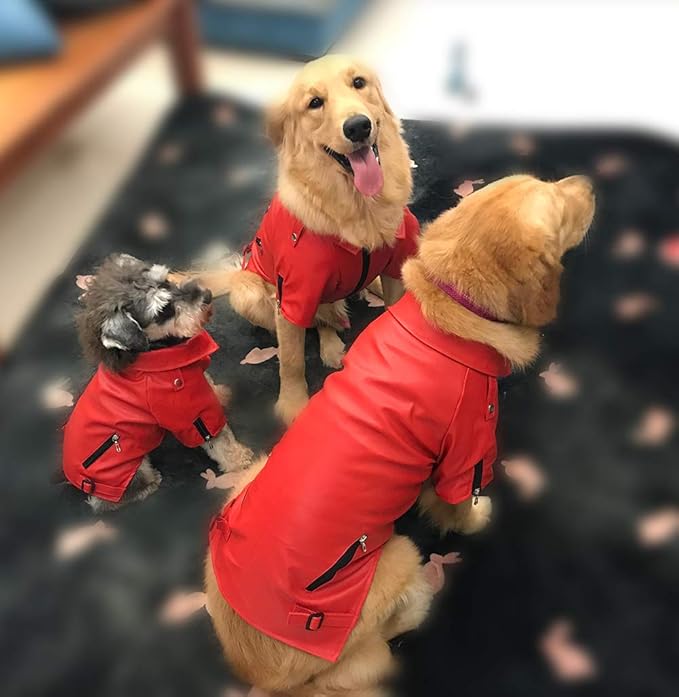 Lovelonglong Cool Dog Leather Jacket, Warm Coats Dogs Windproof Cold Weather Coats for Large Medium Small Dogs, Pomeranian Clothing Red M