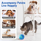 Moving Dog Ball, 2026 New 2Pcs Automatic Vibrating Dog Ball Toy, Smart Bouncing Shaky Balls Toy for Dogs, Interactive Jumping Dogs Balls That Moves on Its Own for Small Dogs (Mix)