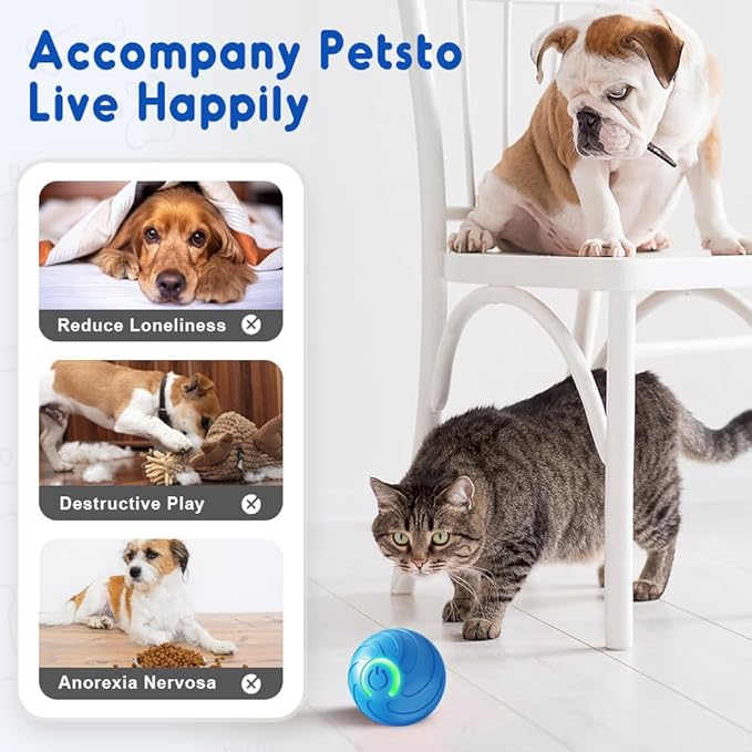 Moving Dog Ball, 2026 New 2Pcs Automatic Vibrating Dog Ball Toy, Smart Bouncing Shaky Balls Toy for Dogs, Interactive Jumping Dogs Balls That Moves on Its Own for Small Dogs (Mix)