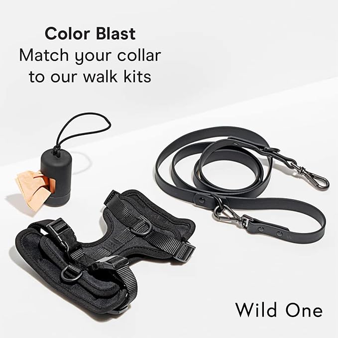 Wild One Dog Collar, Easy-Clean, All Weather Flex-Poly Strap with Metal, Durable, Dirt and Odor Resistant (Black, S)