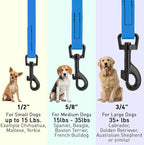 Dogline Biothane Waterproof Dog Leash Strong Coated Nylon Webbing with Black Hardware Odor-Proof Easy to Clean High Performance for Small or Large Dogs Made in USA 4 or 6 ft Lead, Cerulean Blue