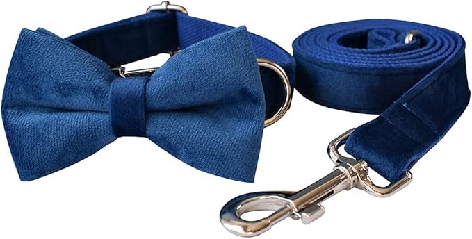 Dog Collar Custom Personalized Engraved Name and Phone Number for Puppy Small Medium Large Pets (XL, Blue)