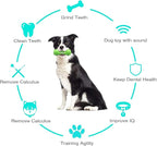 Dog Toy, Toothbrush Dogs Chew Squeaky Toys, Durable Bones for Aggressive Chewers, Dental Oral Care for Small, Medium and Large Dogs - Green