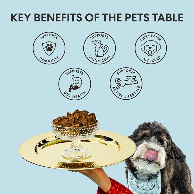 The Pets Table Small Batch Air Dried Dog Food for Dogs Large, Medium and Small | Puppy Dog Food, Adult Dog Food, Senior Dog Food | Chicken & Sweet Potato 4.5 lbs / 72 oz Bag