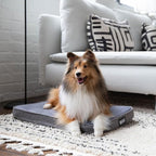 Diggs Snooz Memory Foam Dog Bed - Ideally Sized Revol Dog Crate Pad - Premium Orthopedic Pet Bed for Crate or Home - Grey, Medium